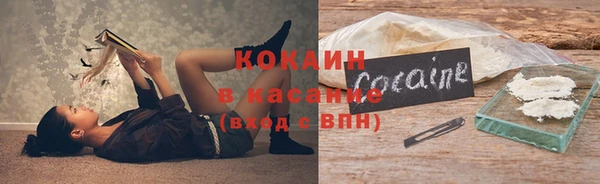 ГАЛЛЮЦИНОГЕННЫЕ ГРИБЫ Арсеньев