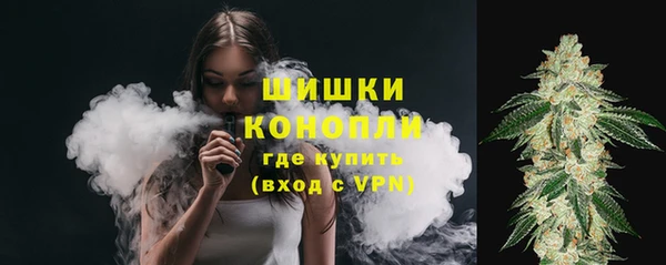 ГАЛЛЮЦИНОГЕННЫЕ ГРИБЫ Арсеньев
