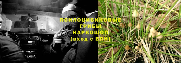 твердый Армянск