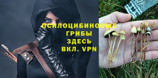 тгк Аркадак