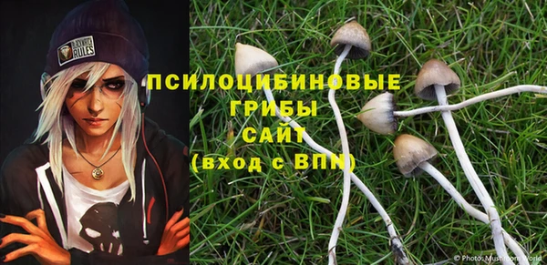 твердый Армянск