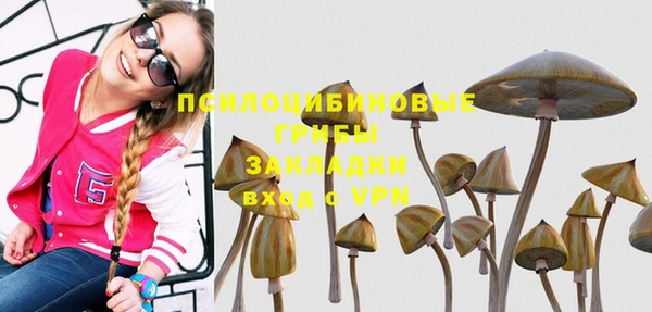 тгк Аркадак