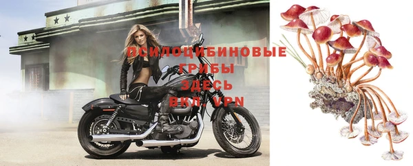 твердый Армянск