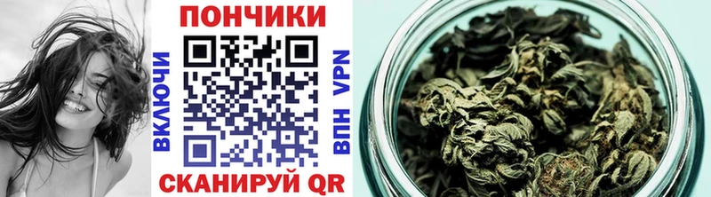 Бошки Шишки ГИДРОПОН  Лихославль 